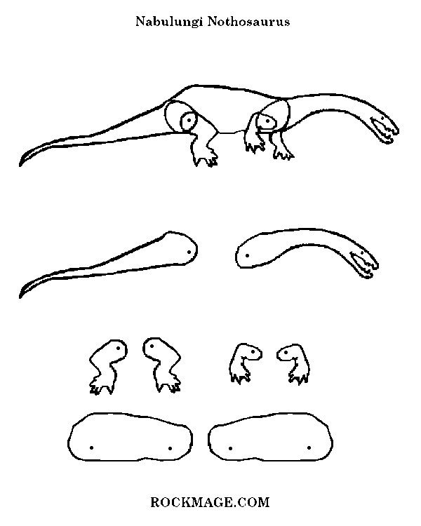 [Nothosaurus/Nabulungi (pattern)]